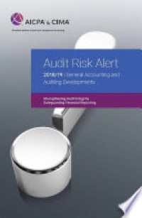 Audit Risk Alert